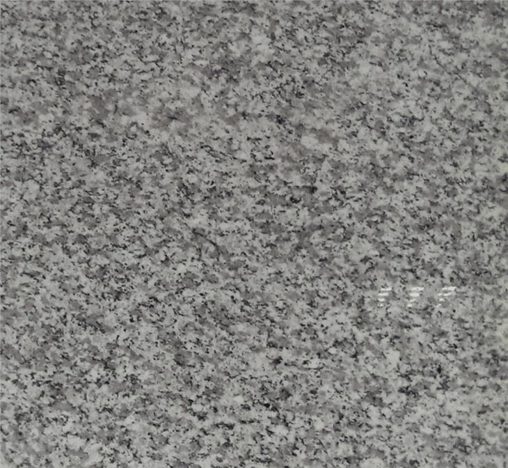 G623 Grey Rosa Beta Granite Kitchen Countertops With Backsplash