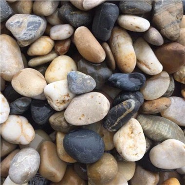 Natural Stone Polished Mixed Color Decorative River Stone Pebble Tiles
